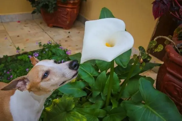 Economy Tek Kişilik Oda