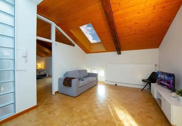 Standard Apart Daire, 1 Çift Kişilik Yatak (Mansarda Gargantini)