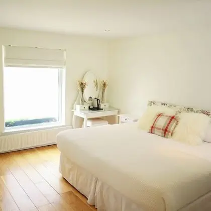 Tek Büyük veya İki Ayrı Yataklı Oda, Banyolu/Duşlu, Avlu Manzaralı (Pet Friendly Double/Twin)