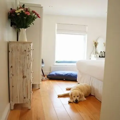 Tek Büyük veya İki Ayrı Yataklı Oda, Banyolu/Duşlu, Avlu Manzaralı (Pet Friendly Double/Twin)