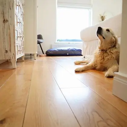 Tek Büyük veya İki Ayrı Yataklı Oda, Banyolu/Duşlu, Avlu Manzaralı (Pet Friendly Double/Twin)