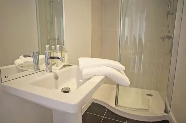 Tek Büyük veya İki Ayrı Yataklı Oda, Banyolu/Duşlu, Avlu Manzaralı (Pet Friendly Double/Twin)