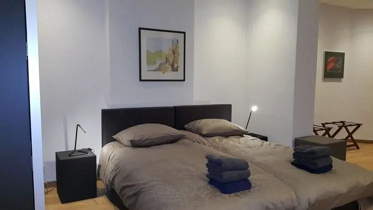 Luxury Apart Daire, 2 Tek Kişilik Yatak, Bahçe Manzaralı, Zemin Kat