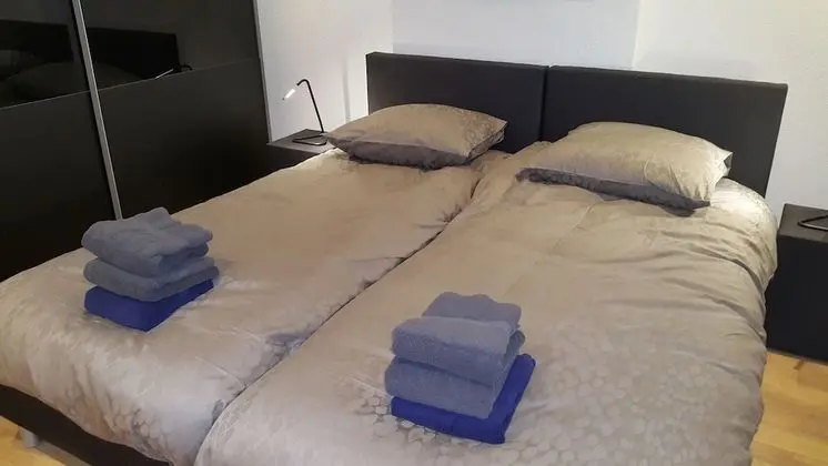 Luxury Apart Daire, 2 Tek Kişilik Yatak, Bahçe Manzaralı, Zemin Kat