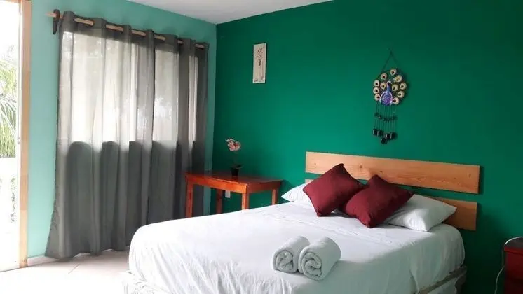 Basic Tek Büyük Yataklı Oda, 1 Yatak Odası, Bahçe Manzaralı