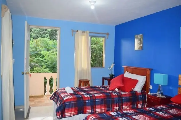 Comfort Tek Büyük Yataklı Oda, 1 Çift Kişilik Yatak, Bahçe Manzaralı