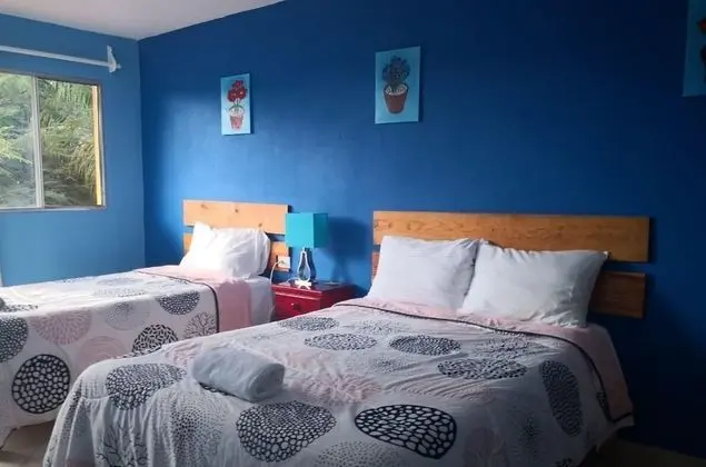 Comfort Tek Büyük Yataklı Oda, 1 Çift Kişilik Yatak, Bahçe Manzaralı