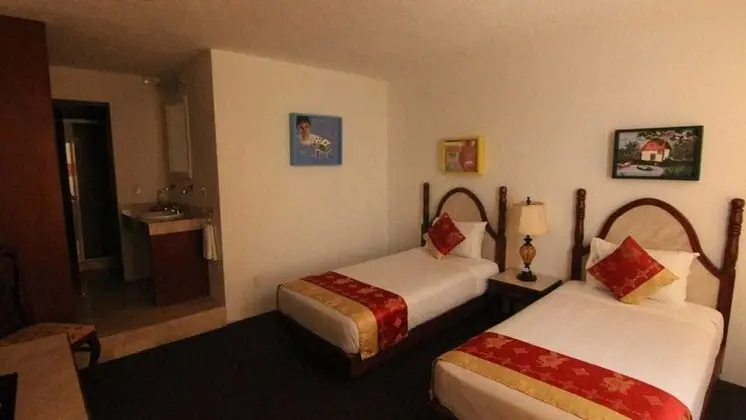 Tek Büyük Yataklı Oda (Double Room with Separate Beds)