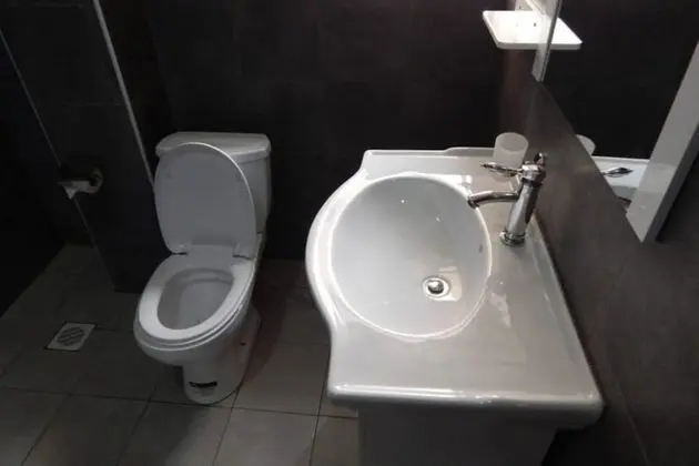 Executive Tek Büyük Yataklı Oda, 1 Büyük (Queen) Boy Yatak, Bahçe Manzaralı