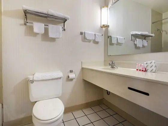 Premium Oda, 2 Büyük (Queen) Boy Yatak, Sigara İçilmez