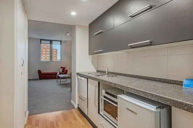 Executive Apart Daire, 1 Yatak Odası