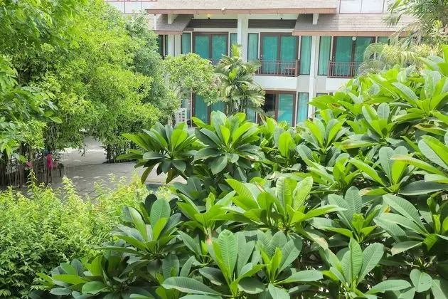 Deluxe Balcony King Bed