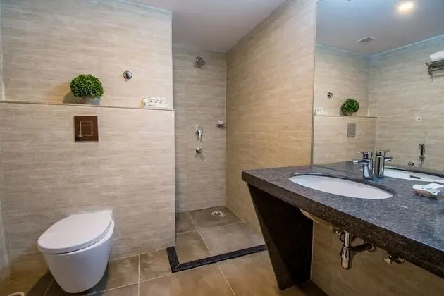 Deluxe Tek Büyük veya İki Ayrı Yataklı Oda, Engellilere Uygun