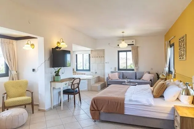 Deluxe Tek Büyük Yataklı Oda