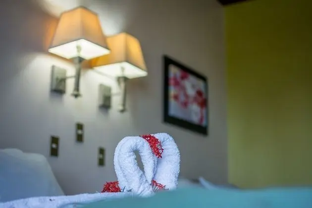 Tek Büyük Yataklı Oda, Bahçe Manzaralı