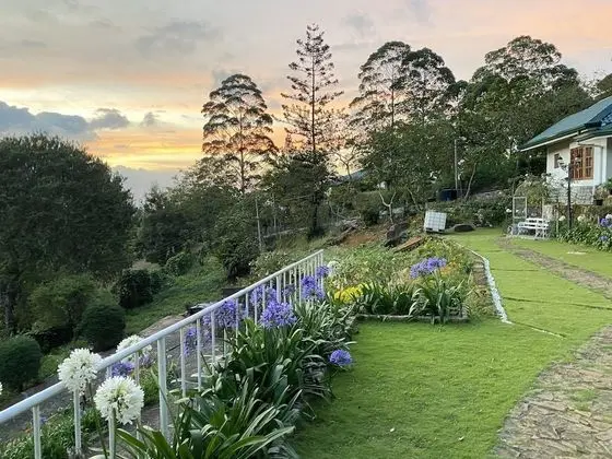 Family Üç Kişilik Oda