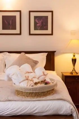 Luxury Tek Büyük Yataklı Oda