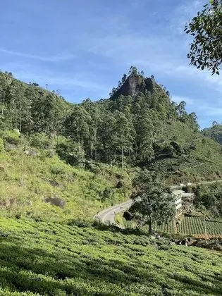 Luxury Tek Büyük Yataklı Oda