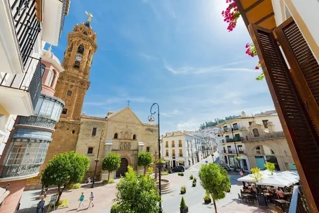 Superior Tek Büyük veya İki Ayrı Yataklı Oda