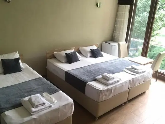 Standart Geniş Oda, Dağ Manzaralı, Fransız Balkonlu