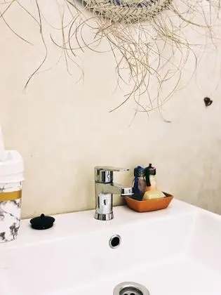 Standard Tek Büyük Yataklı Oda, Bahçe Manzaralı