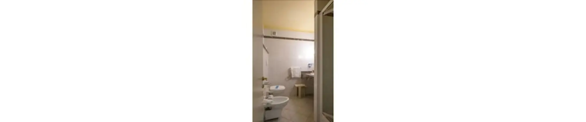 Tek Büyük veya İki Ayrı Yataklı Oda (Spa Access)