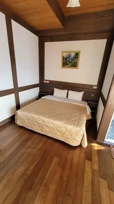 Standard Tek Büyük Yataklı Oda, Dağ Manzaralı