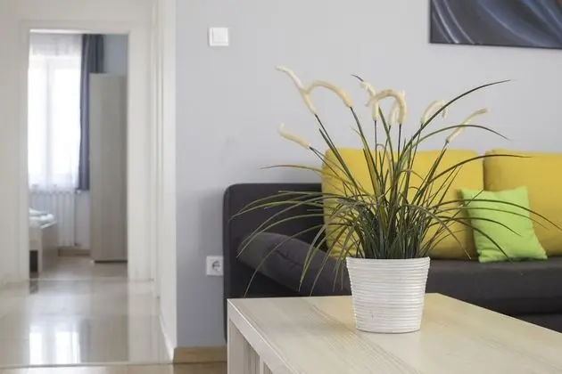Deluxe 3 bedroom Apartment