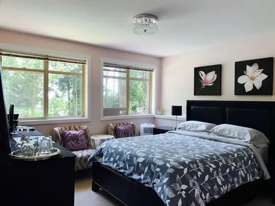 Comfort Oda, 1 Büyük (Queen) Boy Yatak, Anti Alerjik, Park Manzaralı