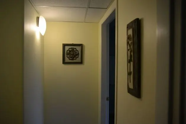 Executive Süit, 1 Büyük (Queen) Boy Yatak ve Çekyat, Küçük Mutfak, Park Manzaralı