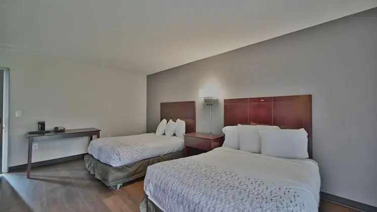 Standard Tek Büyük Yataklı Oda, 1 Yatak Odası, Sigara İçilmez