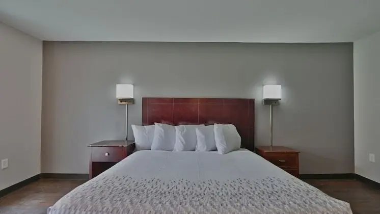 Standard Tek Kişilik Oda, 1 Tek Kişilik XL Yatak