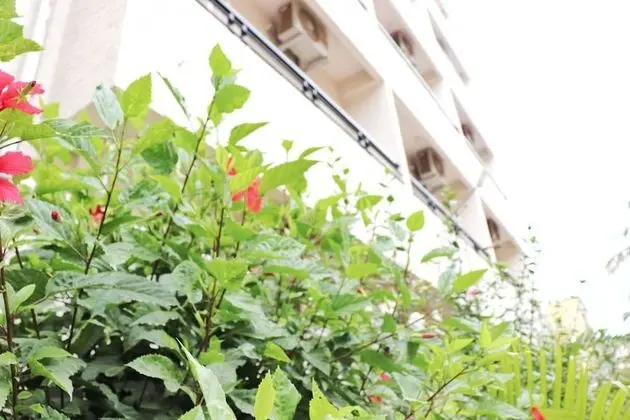 Deluxe Tek Büyük Yataklı Oda, Engellilere Uygun, Şehir Manzaralı