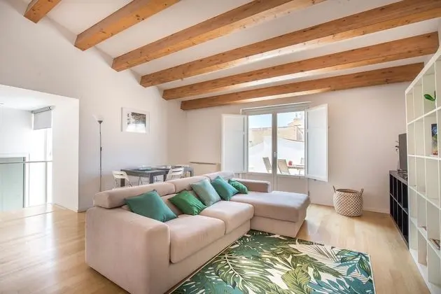 Çatı Katı (Loft), 1 Yatak Odası, Teras