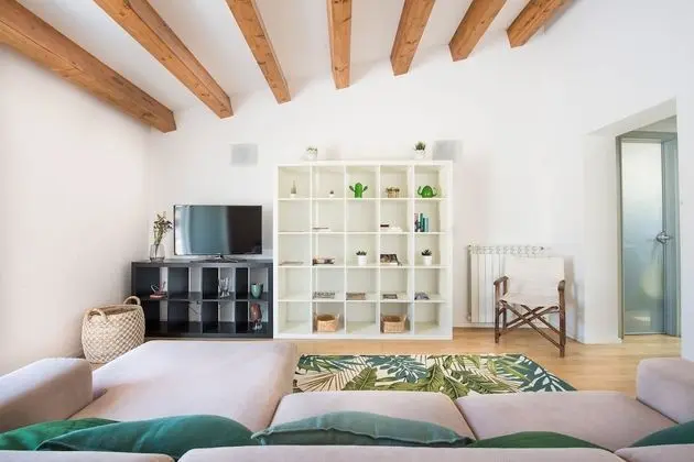 Çatı Katı (Loft), 1 Yatak Odası, Teras
