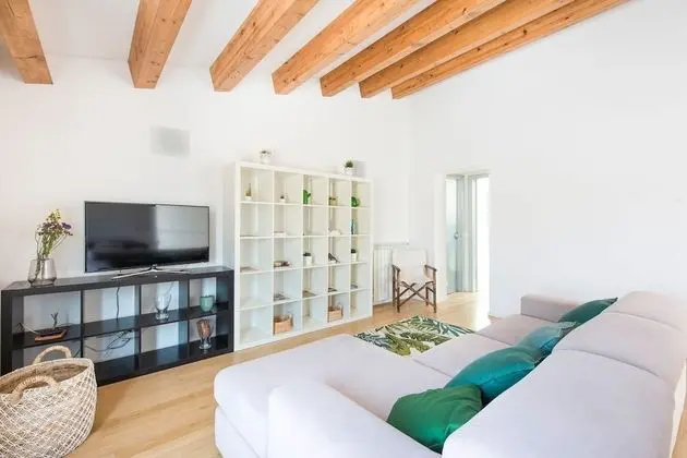 Çatı Katı (Loft), 1 Yatak Odası, Teras