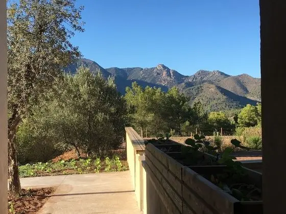 Tek Büyük Yataklı Oda, Teras, Dağ Manzaralı