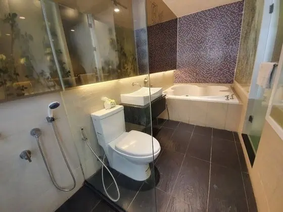 Tek Büyük Yataklı Oda, Küvet, Şehir Manzaralı