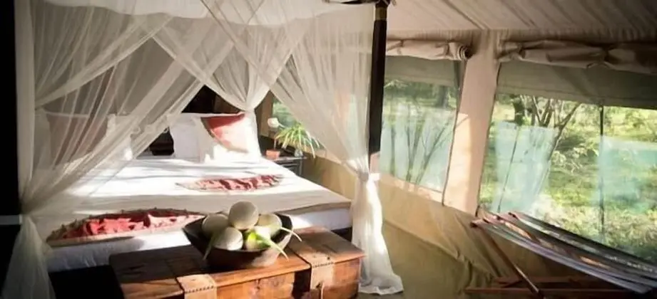 Luxury Çadır, Nehir Manzaralı