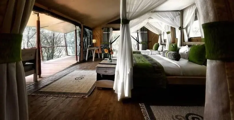 Luxury Çadır