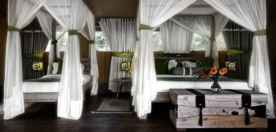 Luxury Çadır