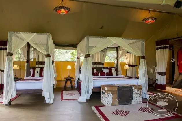 Luxury Çadır (Game Drives and Full board included)