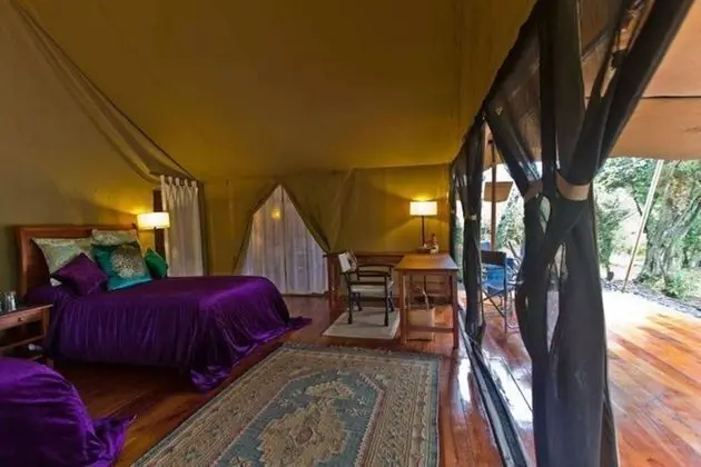 Luxury Çadır