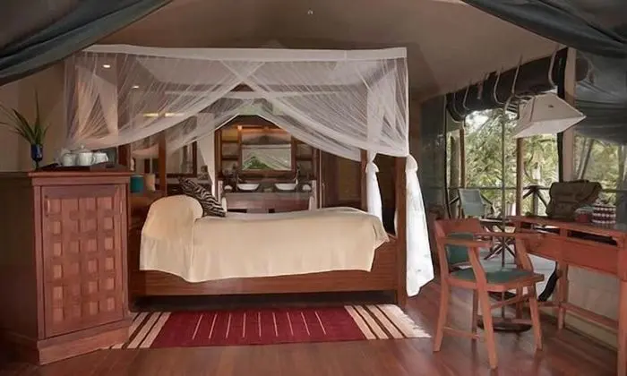 Deluxe Çadır (3 Safaris included)