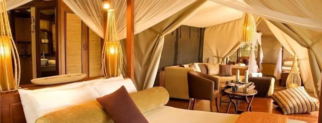 Deluxe Çadır (3 Safaris included)