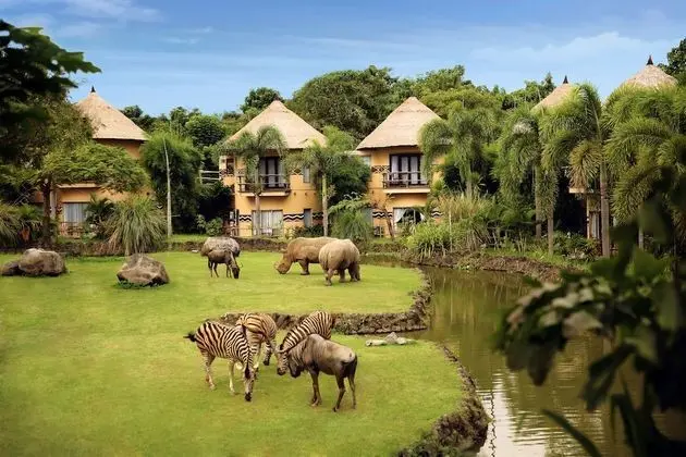 Swala Deluxe Room + Bali Safari Entrance & Safari Journey