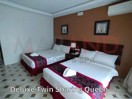 Deluxe İki Ayrı Yataklı Oda