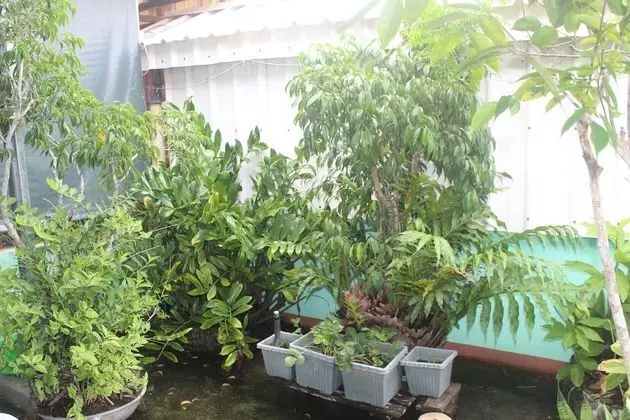 Family Oda, Birden Çok Yatak, Özel Banyo