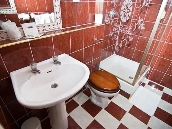 Standard Tek Büyük Yataklı Oda, Banyolu/Duşlu