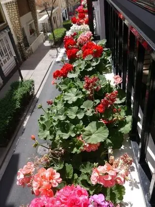 Comfort İki Ayrı Yataklı Oda, 2 Tek Kişilik Yatak, Balkon, Şehir Manzaralı (Taj Mahal)